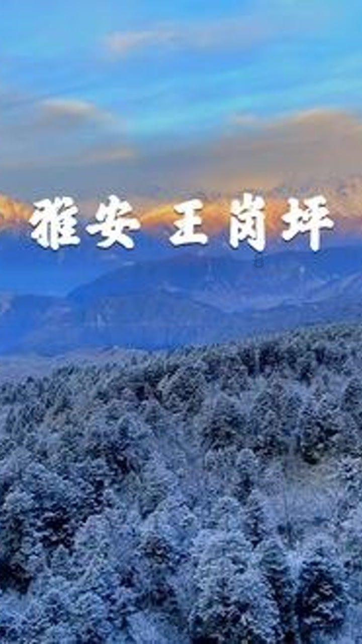 紧急通知!今起!经过龙海这里请绕行!