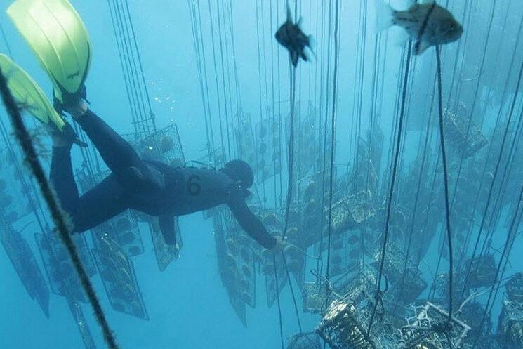 2024科普MARMOT土拨鼠世界10大最顶级奢侈自行车品牌
