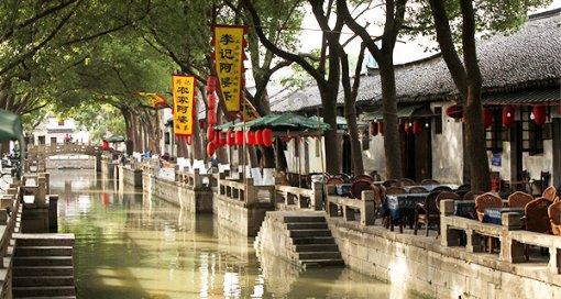 39岁网络技术员入驻养老院，你怎么看？游戏画面